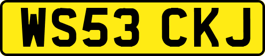 WS53CKJ