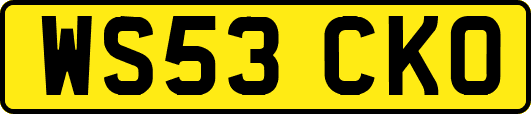 WS53CKO
