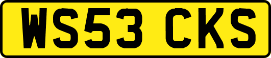 WS53CKS