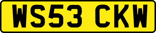 WS53CKW