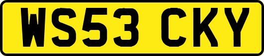 WS53CKY