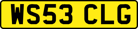 WS53CLG