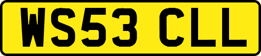 WS53CLL