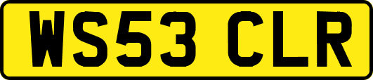 WS53CLR
