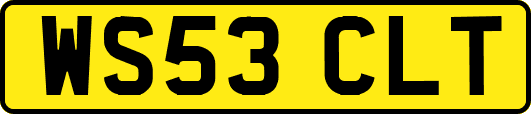 WS53CLT