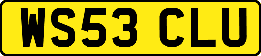 WS53CLU