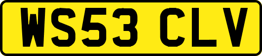 WS53CLV