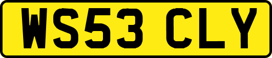 WS53CLY