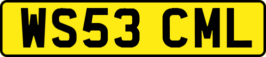 WS53CML