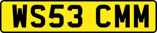 WS53CMM