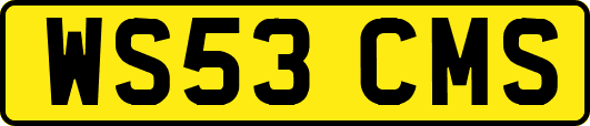 WS53CMS