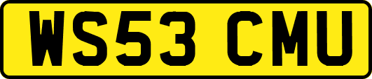 WS53CMU