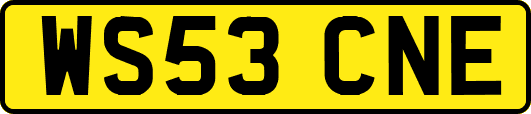 WS53CNE