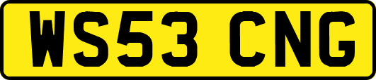 WS53CNG