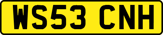 WS53CNH