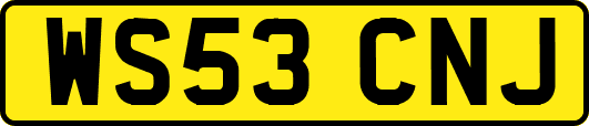 WS53CNJ