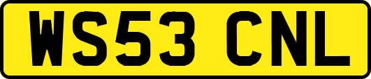 WS53CNL