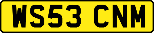 WS53CNM