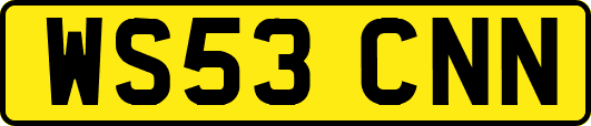 WS53CNN