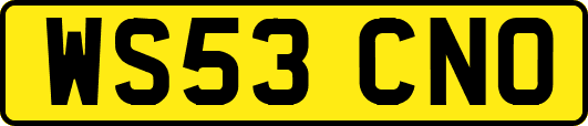 WS53CNO