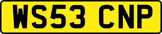 WS53CNP