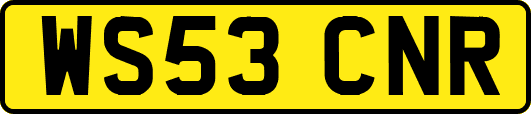 WS53CNR