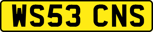 WS53CNS