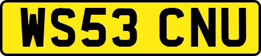 WS53CNU