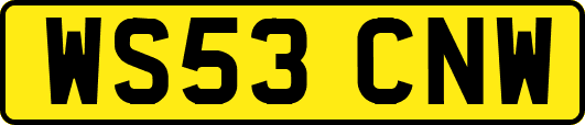 WS53CNW