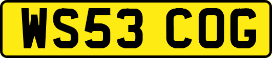 WS53COG