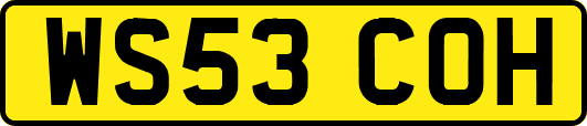 WS53COH
