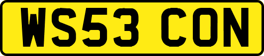 WS53CON