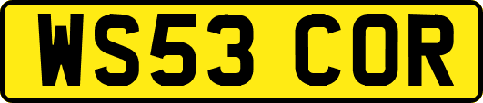 WS53COR