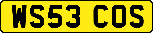 WS53COS