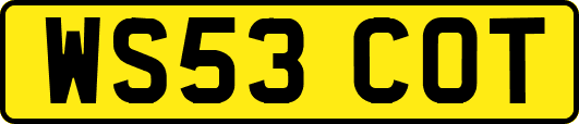WS53COT