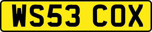 WS53COX