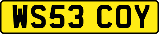 WS53COY