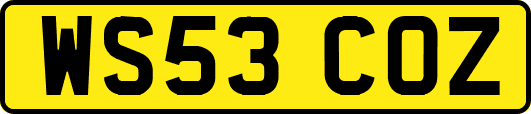 WS53COZ