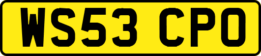 WS53CPO