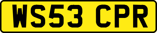 WS53CPR