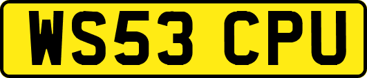 WS53CPU