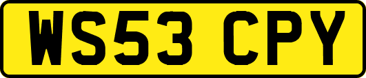 WS53CPY