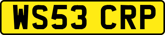 WS53CRP