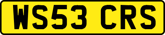 WS53CRS