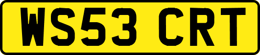 WS53CRT