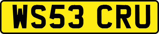 WS53CRU