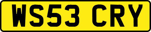WS53CRY
