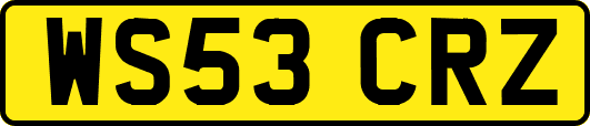 WS53CRZ