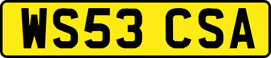 WS53CSA