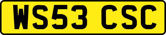 WS53CSC
